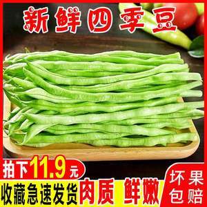 新鲜蔬菜四季豆