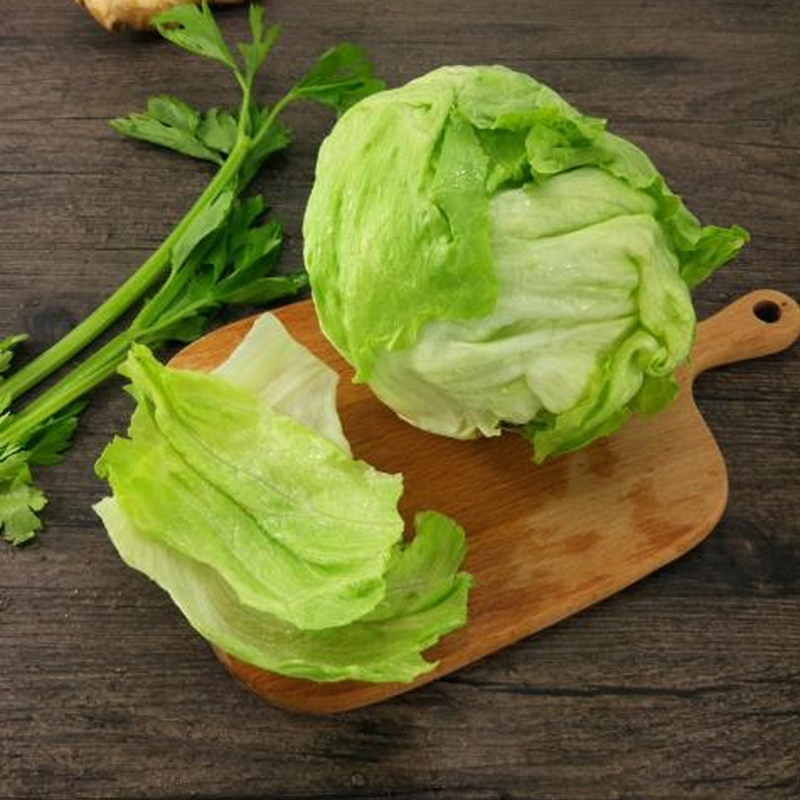 新鲜球生菜精品西生菜汉堡圆生菜蔬菜沙拉500g江浙沪任搭5件包邮