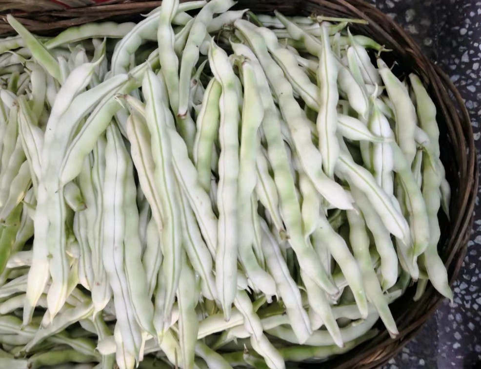 湖北新鲜蔬菜白豆角芸豆四季豆老来少豆角白不老眉豆白扁豆4斤