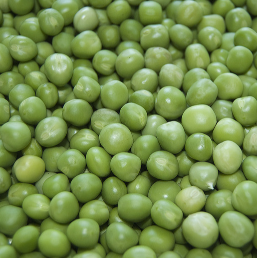 远东春生鲜 新鲜蔬菜 鲜青豆粒 豌豆粒 一斤装